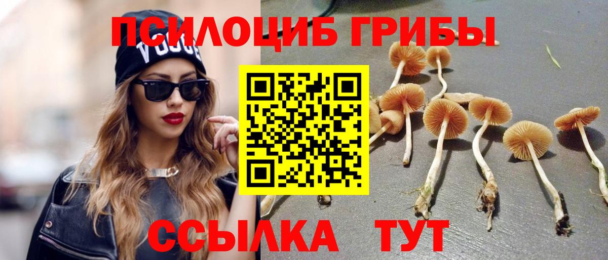 Псилоцибиновые грибы GOLDEN TEACHER  Галлюциногенные грибы прущие грибы  Вход с VPN  Гусиноозёрск 